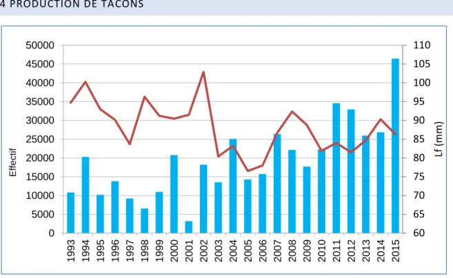 Fig. 14 : Evolution de la production et des tailles moyennes des tacons 0+ de 1993 à 2015  