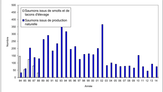 Figure 6 - Evolution de la population de saumons adultes de la Nivelle de 1984 à 2014 (2  èmes  retours inclus).