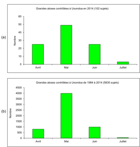 Figure 12 - Fréquences mensuelles des captures de grandes aloses au piège                  de la passe à poissons d'Uxondoa : (a), en 2014 ; (b), de 1984 à 2014(a)(b)01002003004005006007008001984198719901993199619992002200520082011 2014NombreAnnée