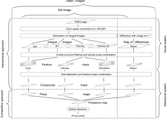 Figure 1. Architecture of the computational model of attention.