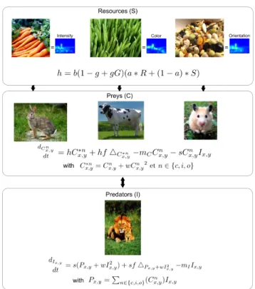 Figure 2. Competitive preys / predators attention model. Singularity maps are the resources that feed a set of preys which are themselves eat by predators