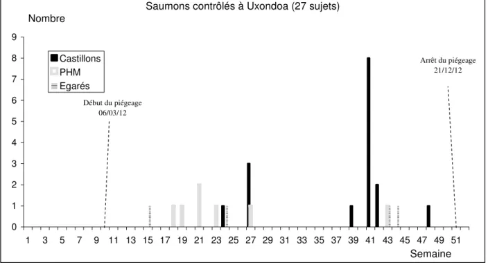 Figure 4 - Fréquences hebdomadaires (semaines conventionnelles) de captures de saumons                  de la Nivelle en 2012 au piège d'Uxondoa.