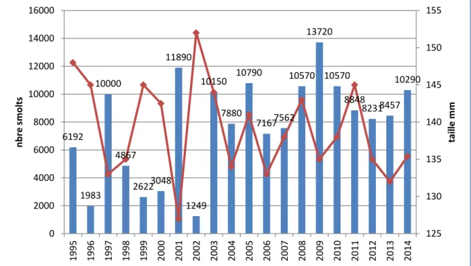 Fig. 2 : Estimation de production totale de smolts par année de dévalaison de 1995 à 2014 et tailles  moyennes 