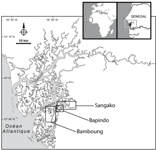 Figure 4.1 : L’estuaire du Sine Saloum et les 3 sites étudiés pour analyser le peuplement de référence  du bolon de Bamboung