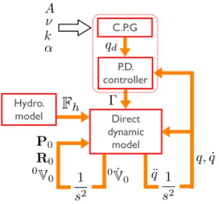 Fig. 2. Schematic view of the swimming model.