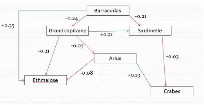 Figure 9.2 : Schéma représentant l’impact de l’augmentation relative de la biomasse de barracudas d’une unité sur une partie du réseau trophique, les valeurs sont égales à l’augmentation/la diminution de biomasse des groupes impactés (en bleu : augmentatio