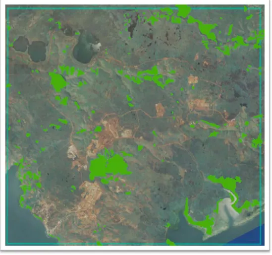 Figure 12 :  Cartographie des fragments forestiers dans la zone d’emprise de l’image  Pléiades par photo-interpétation 
