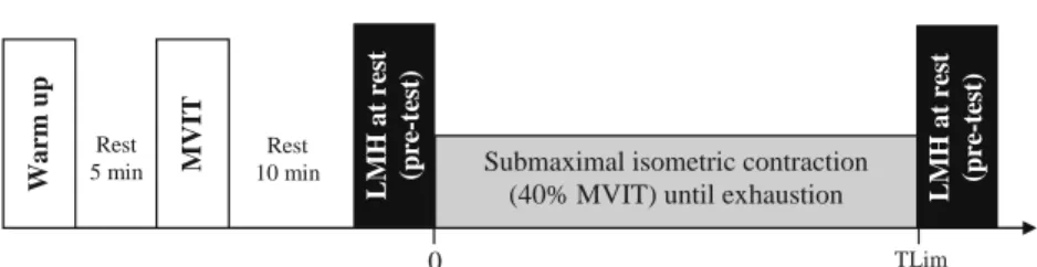 Fig. 2. Experimental protocol. After a standardized warm-up, maximal voluntary isometric torque (MVIT) in plantar ﬂexion was assessed