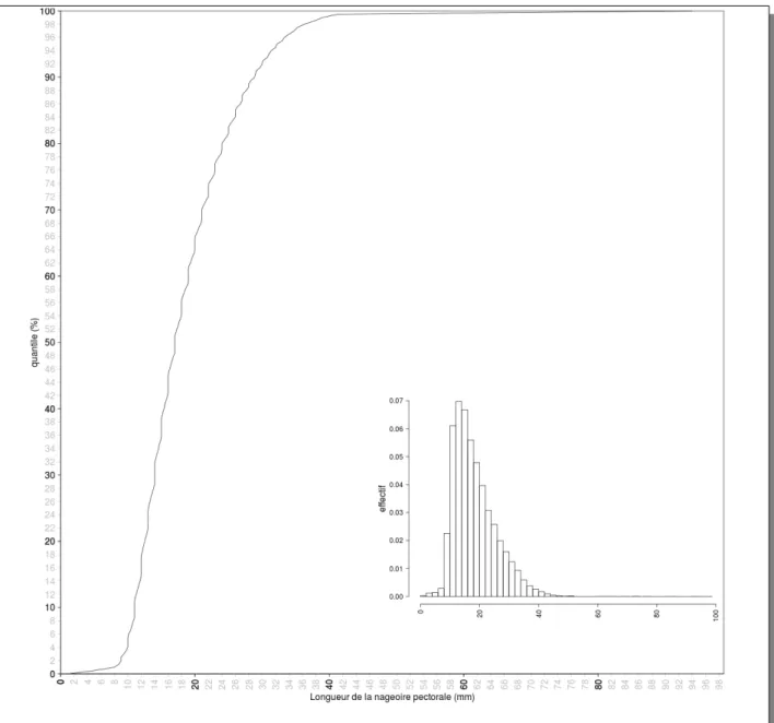 Figure 8 : distribution cumulée des longueurs de la nageoire pectorale et histogramme (encart).