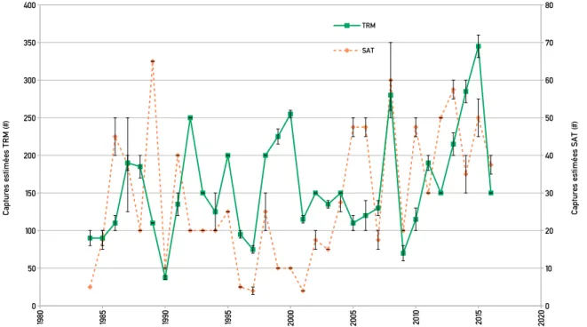 Fig. 3: Captures à la ligne en rivière estimées (en nombre) de truite de mer (TRM) et de saumon (SAT) sur la Bresle entre  1984 et 2016