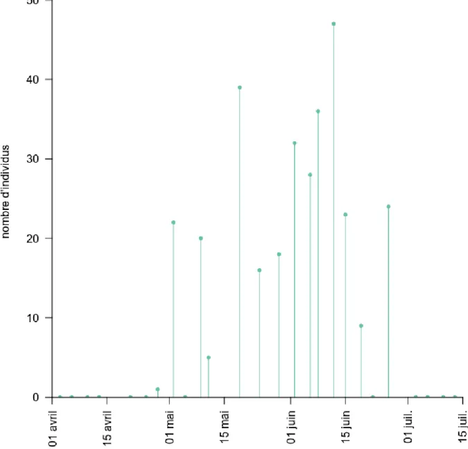 Figure 6 : Date de captures des civelles issues directement de l’Oir