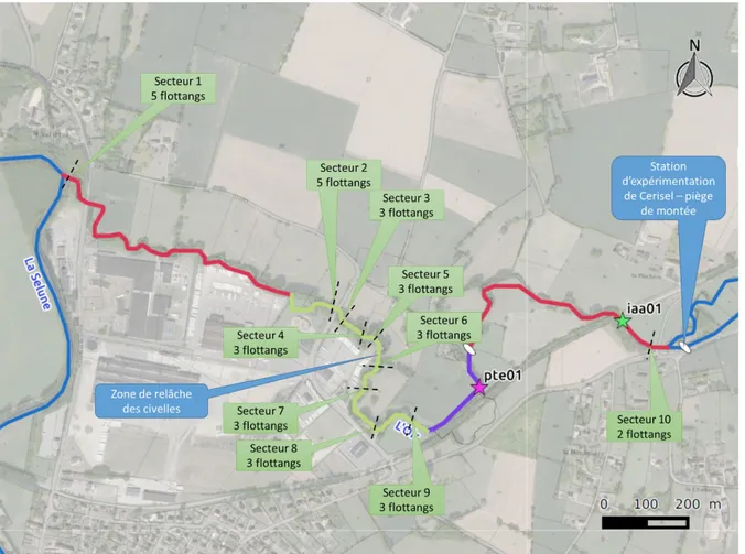 Figure 8 : Disposition des flottangs le long de l’Oir. La pointe de la flèche indique le début des secteurs et l’emplacement des flottangs