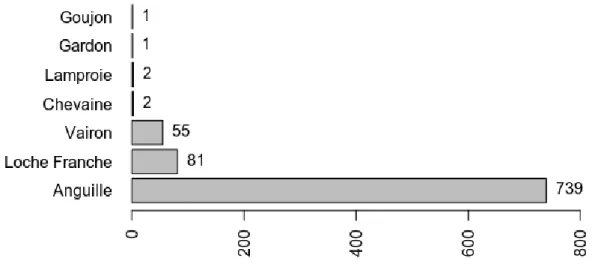 Figure 19 : Nombre d’individus capturés par espèce dans les flottangs en 2018.