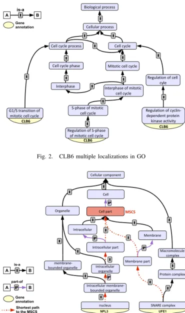 Fig. 3. Semantic distance between two annotated genes in GO.