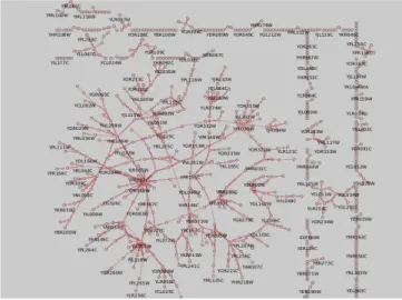 Fig. 5. Graphical representation of the entire GRN employed for the experimentations