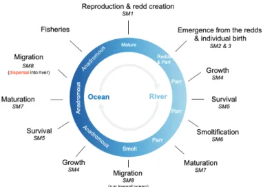 Figure 1 : Représentation schématique du modèle  IBASAM intégrant différents modules (par ex