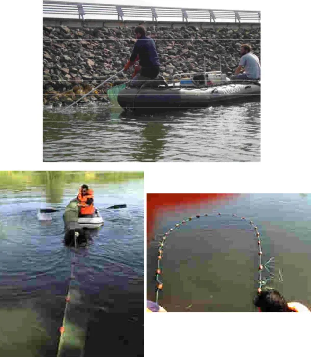Figure 5. Illustrations des différentes techniques de pêche utilisées : pêche électrique (en haut),  pêche aux verveux (en bas à gauche) et pêche à la senne (en bas à droite) 