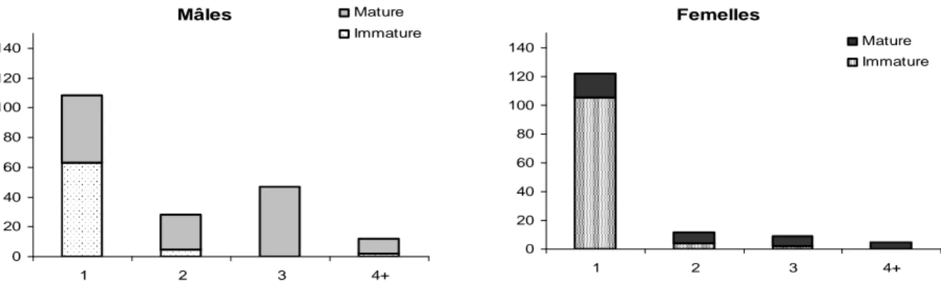 Figure 13. Distribution des effectifs à Mondelange selon le sexe, le stade de maturité et l’âge à la  capture des individus