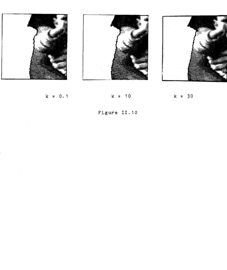 Figure  II. 10 