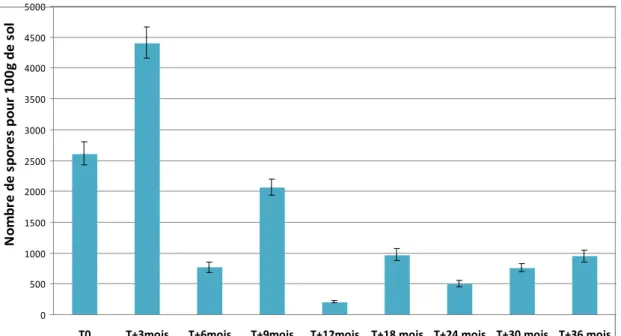 Figure 47 : Evolution du nombre de spores AMF viables dans les topsoils stockés  0 à 36  mois  à Goro, étalés (50cm)