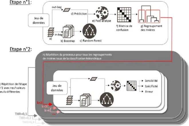 Figure 7 : Récapitulatif des analyses effectuées lors des analyses discriminantes.