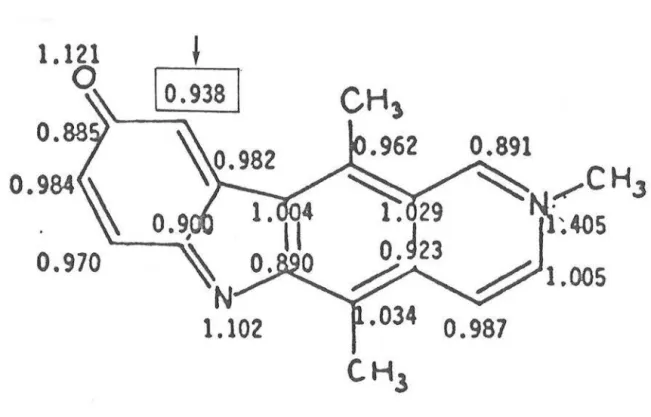 FIGURE I.5 : DENSITES ELECTRONIQUES  1t  DU SYSTEME AROMATIQUE  D'UNE QUINONE-IMINE DE L'ELLIPTICINIUM [41]