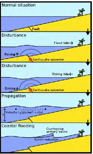 Figure 2 : Schéma illustrant la formation d’un tsunami suite à un séisme (mouvement vertical abrupt du  plancher  océanique),  la  propagation  des  vagues  et  l’inondation  sur  le  littoral