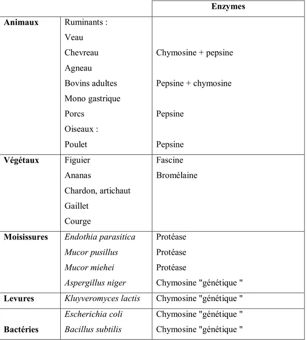 Tableau I : Origines des différentes enzymes utilisées pour coaguler le lait (HAMRANI,  2008)
