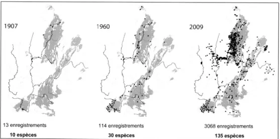 Figure 11 : Évolution des connaissances en Rhône-Alpes au cours du siècle dernier: distribution des  occurrences en 1907, 1960 et 2009; nombre d'espèces sty gobies connues correspondant à chaque 