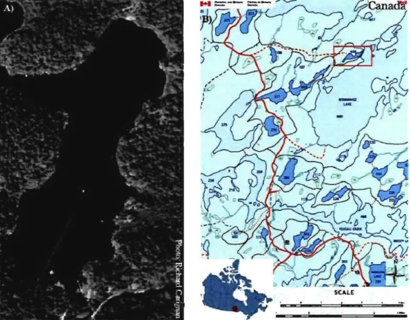 Figure  8.  A)  Photo  aérienne  du  lac  Croche  montrant  le  transect  échantillonné  (Source: Richard  Carignan