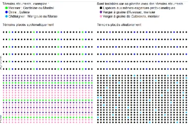 Figure 1 : quelques exemples de protocoles de plantation sous système participatif. 