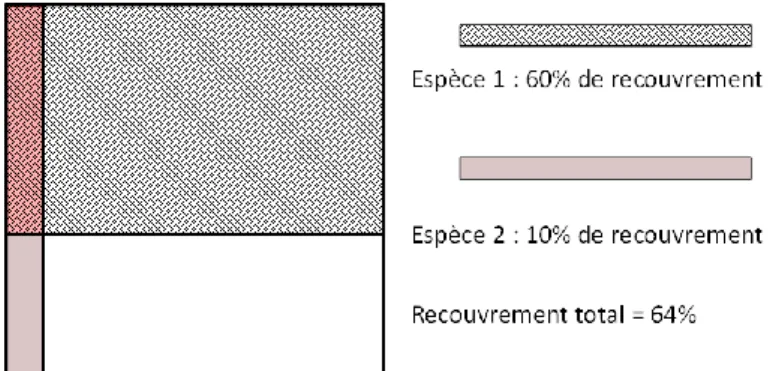 Figure 10 : Exemple de calcul du taux de recouvrement total de deux espèces de la strate arborée 