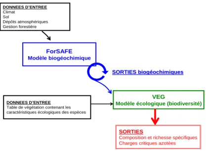 Figure 1 : Fonctionnement du modèle ForSAFE-VEG (Gaudio et al., 2014) ForSAFEModèle biogéochimiqueDONNEES D’ENTREEClimatSolDépôts atmosphériquesGestion forestièreVEG