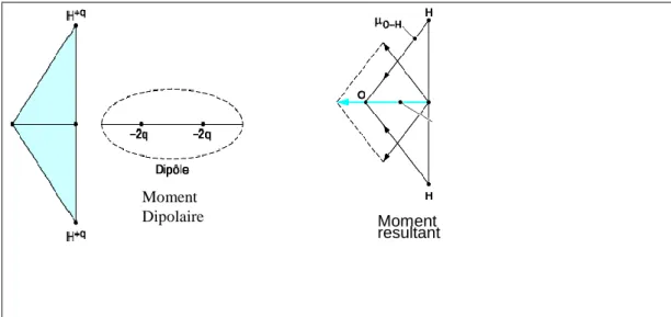 Figure 04: Polarité de la molécule H 2 O et des liaisons O-H. 