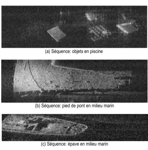 Figure 12 : Exemples d’images extraites de différentes séquences d’images acoustiques provenant de  la caméra DIDSON  