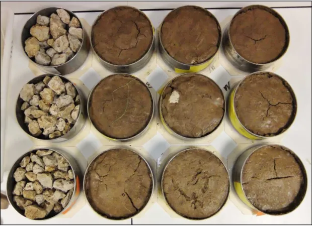 Figure 2  :  Photo de tous les cylindres de sols reconstitués. 