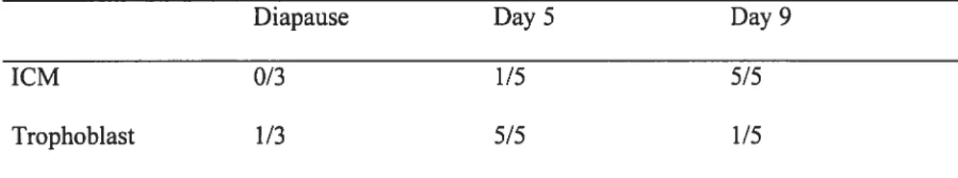 TABLE 3.1 Capacity for growth of inner ceil mass (1CM) and trophoblast cells from mink embryos