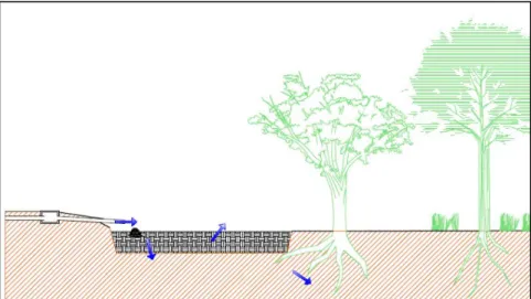 Figure 1 : Schémas d’un filtre à broyat de bois. Source : RAE. 