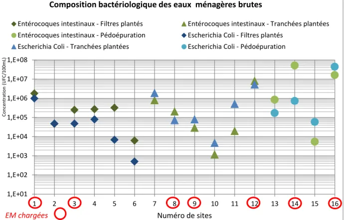 Figure 12: Concentrations en Entérocoques et Escherichia coli des eaux ménagères brutes selon le type de  filière  1,E+011,E+021,E+031,E+041,E+051,E+061,E+071,E+08 1 2 3 4 5 6 7 8 9 10 11 12 13 14 15 16Concentration (UFC/100mL)Numéro de sites 