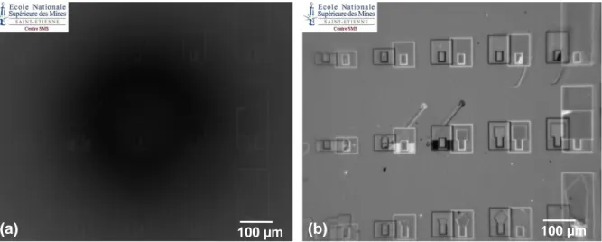 Figure 60. Mesure brute avec les effets perturbateurs environnementaux et Narcisse (a) ;  exemple de correction par translation latérale (b) (sur résonateur CEA) 