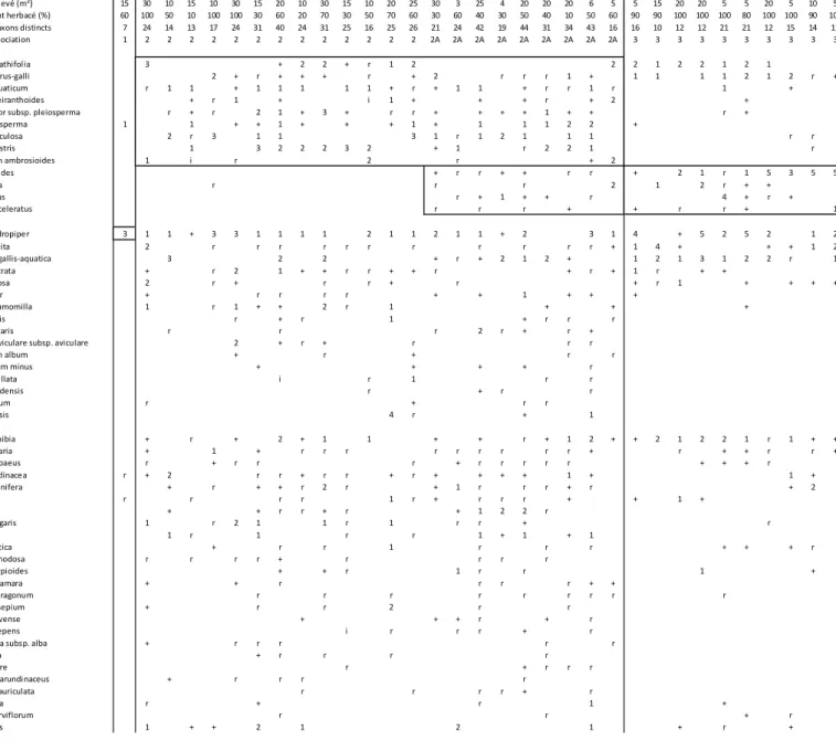 Tableau 3 – Végétations pionnières d’annuelles des  vases et graviers