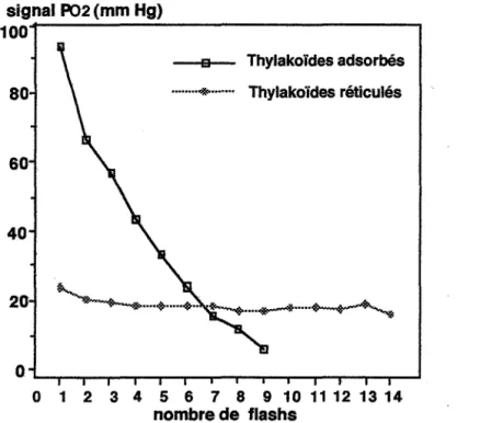 Fig.  14  :  Réponse du biocapteur à thylakoides pour une série de flashs. 