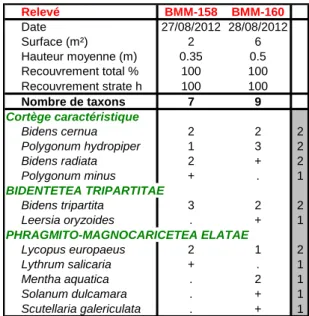 Tableau 9 : Polygono hydropiperis - Bidentetum cernuae Sissingh in Westhoff 1946 