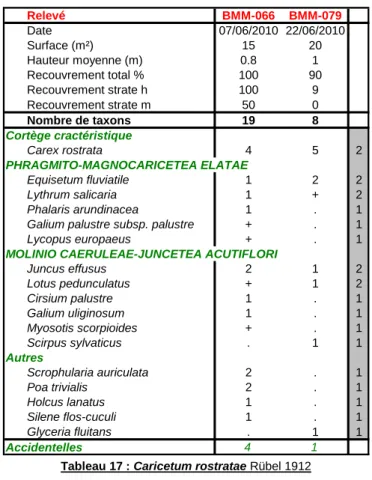 Tableau 17 : Caricetum rostratae Rübel 1912 