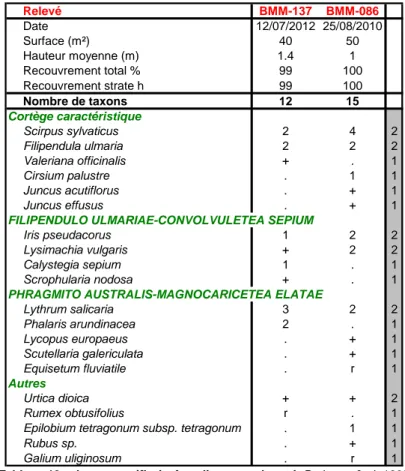 Tableau 19 : Junco acutiflori - Angelicetum sylvestris Botineau &amp; al. 1985 