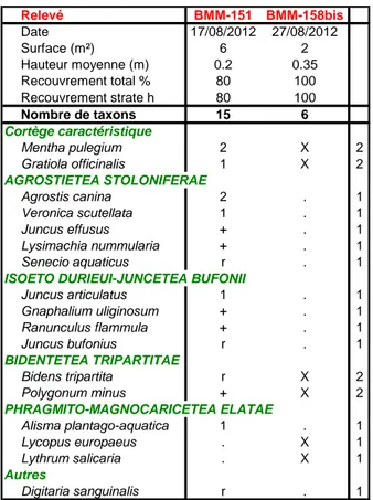Tableau 20 : Groupement à Mentha pulegium et Gratiola officinalis prov. 