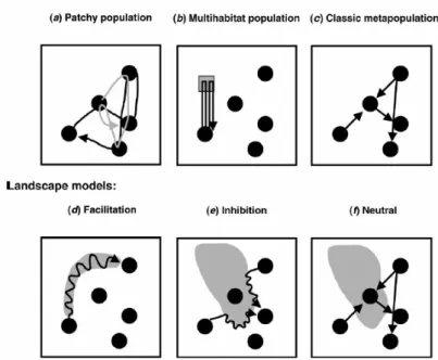 Figure 1.1-7. Importance  relative de différentes  tactiques dans des habitats  contrastés, telles que prédites  par le modèle de Southwood  (1988)