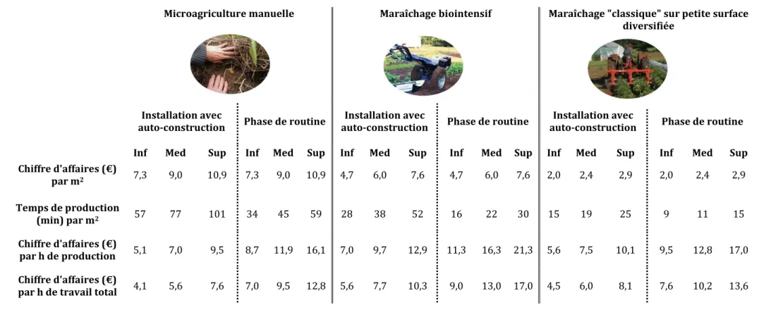 Tableau 7a : productivité des surfaces et du travail sur la ferme dans les différents scénarios pour une commercialisation sur  12 mois avec légumes de conservation en paniers diversifiés 