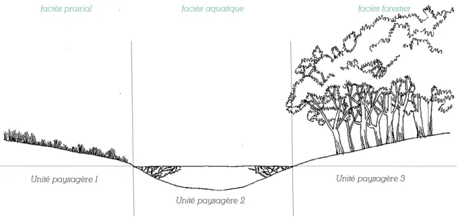 Figure  2 : Illustration des unités  paysagères de zone humide en contexte de vallée alluviale