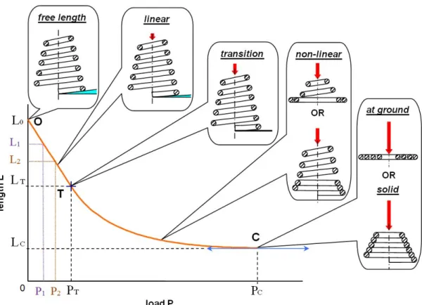 Figure 1.9: Deflection curve and successive coil arrangements according to compression phases [Rodriguez et al., 2006].